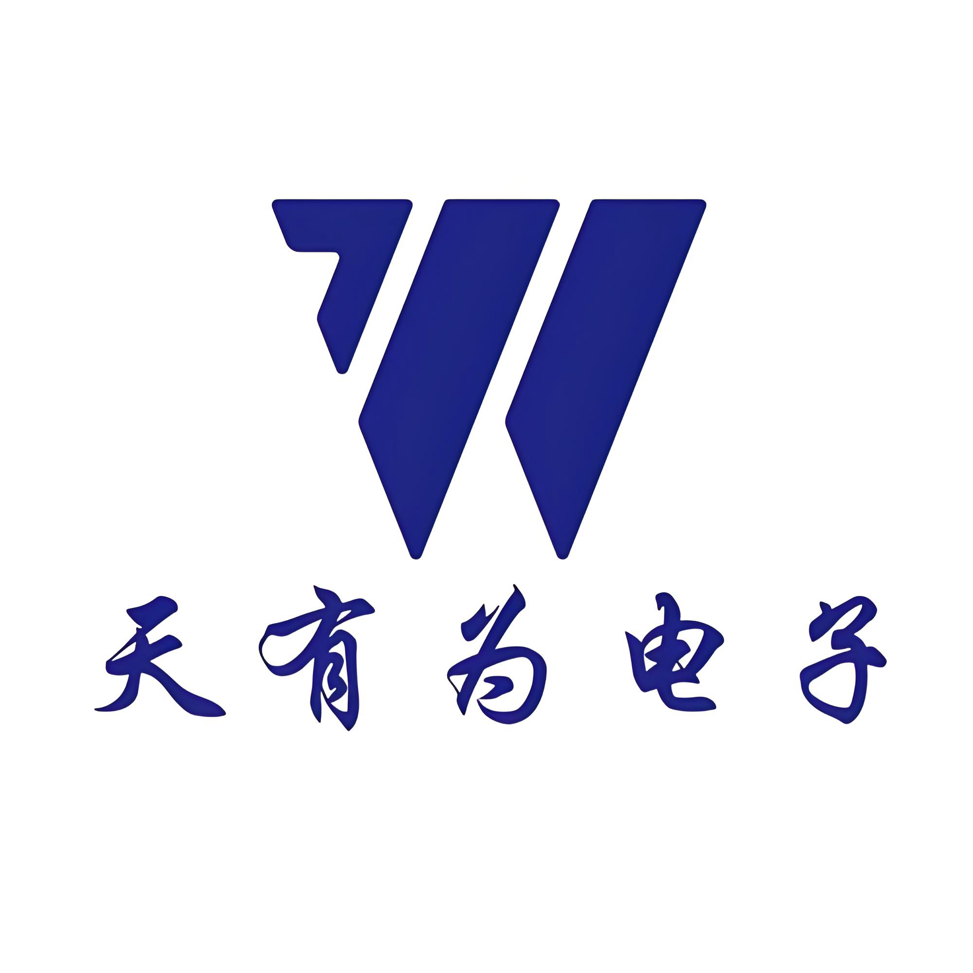 天有為電子